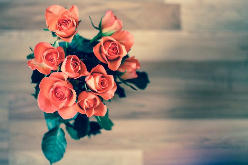 Diese Dinge finden Frauen romantisch und Männer hassen sie!