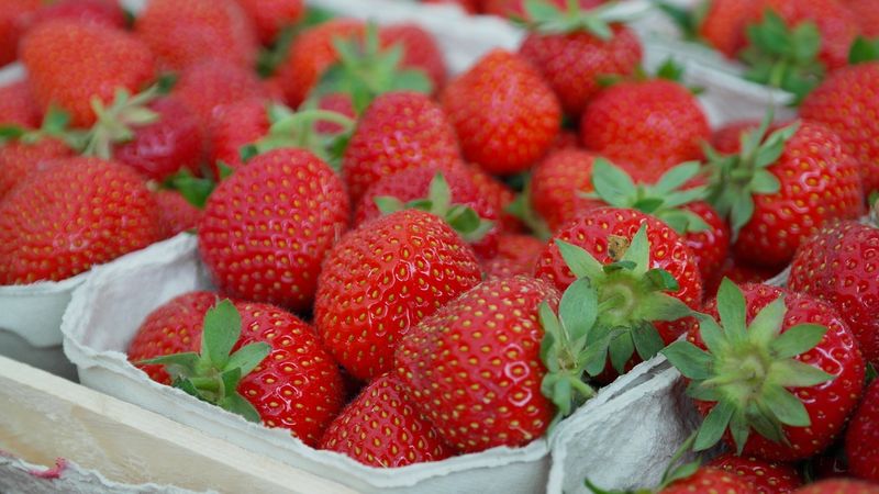 Diese Snacks haben weniger als 100 Kalorien!
