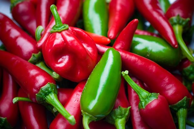 Spice it up – Diese Gewürze heizen deinem Stoffwechsel ein