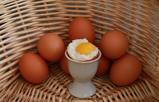 Proteinreichsten Lebensmittel