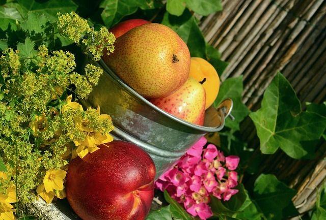 5 einfache Regeln für eine gesunde Ernährung