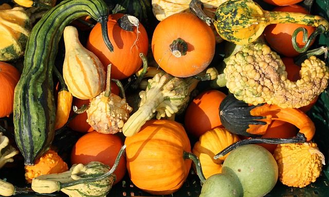 Kürbis - nicht nur im Herbst gesund