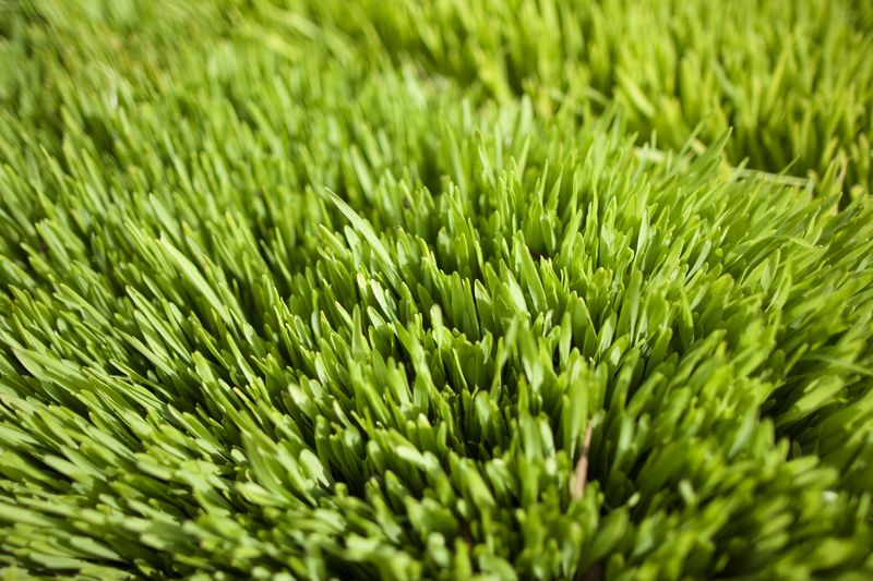 Diese Lebensmittel sind clean und gesund