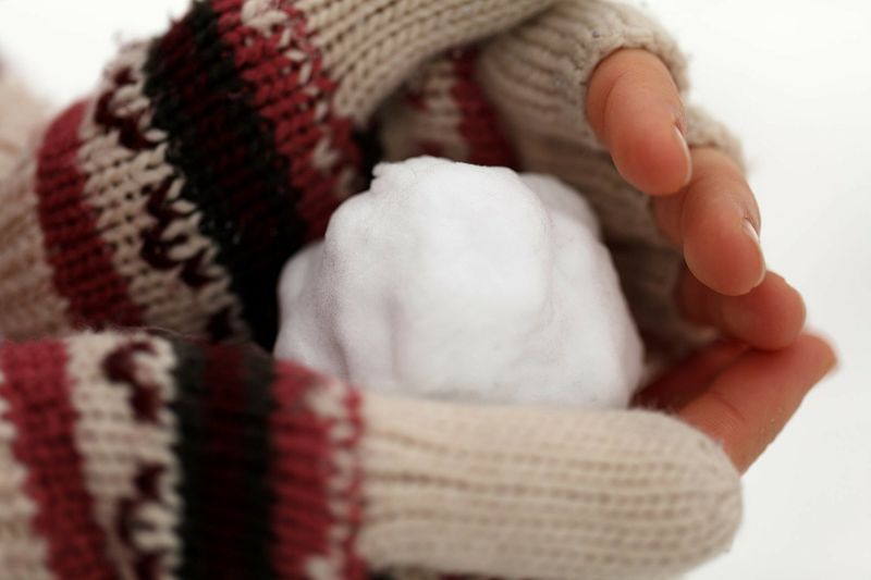 Das sind die besten Fatburner im Winter