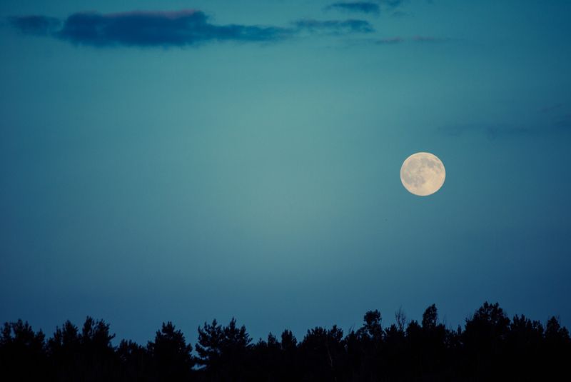 Heute ist die Nacht des Donnermondes