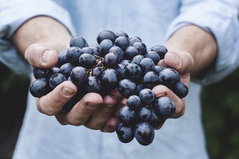 Diese Lebensmittel sind in Wahrheit gar nicht vegetarisch