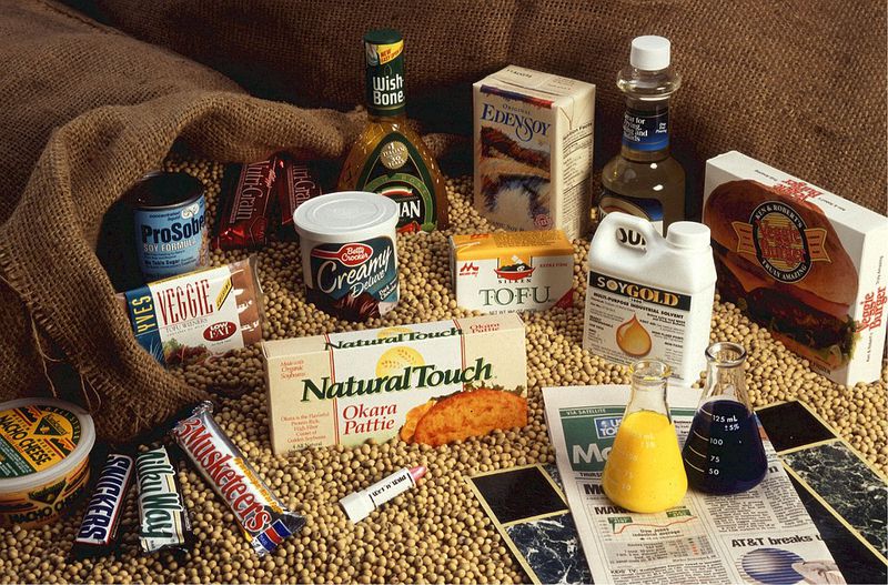 Vegan werden? Mit diesen 5 Tipps klappt's!