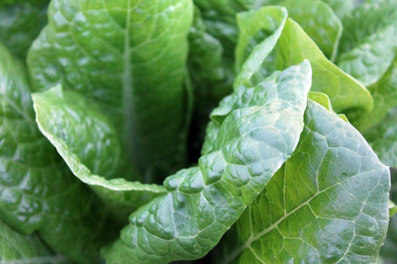 Dieses Food hilft gegen Vergesslichkeit