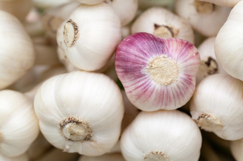 Knoblauch schälen für Könner