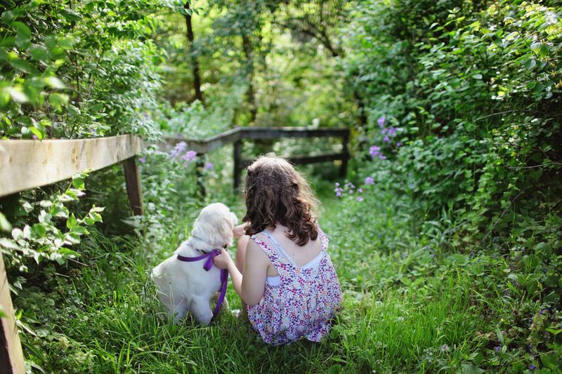 Warum Man Sich In Der Schwangerschaft Einen Hund Zulegen Sollte