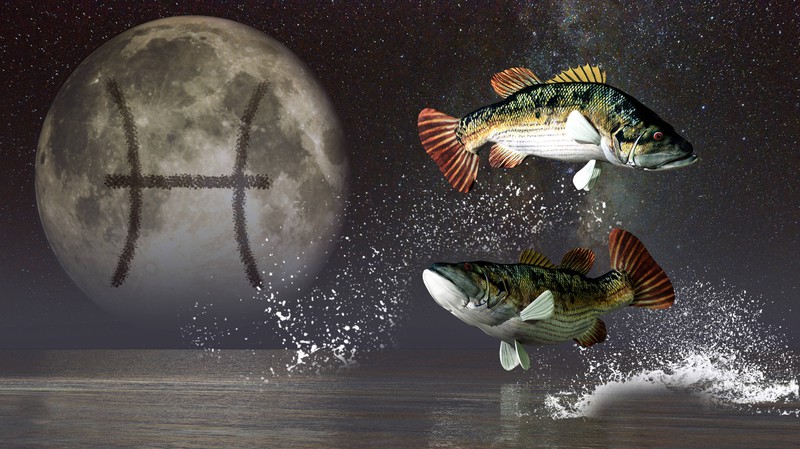 Das Mondzeichen Fische vernachlässigt sich selbst oft