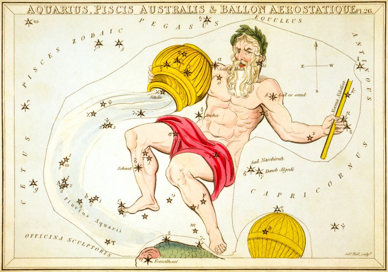 Der Wassermann soll seinen Kopf gerne durchsetzen, wenn es nach seinem Horoskop geht.