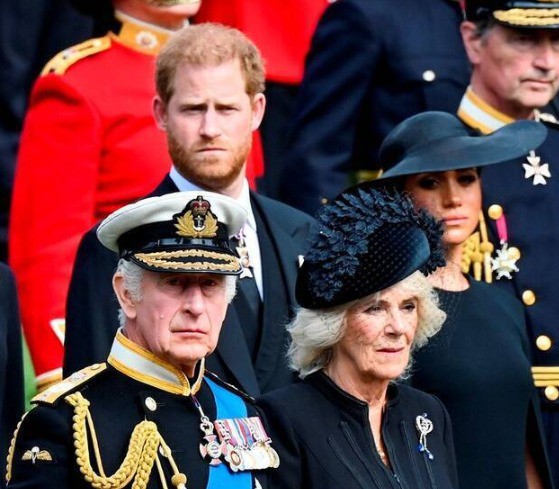 Harry und Meghan traten aus der royal Family zurück.