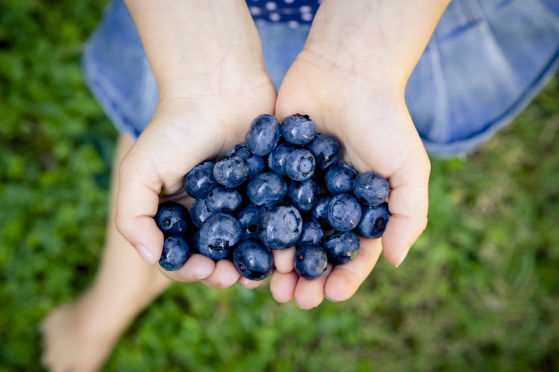 Blaubeeren sind eine super Ergänzung