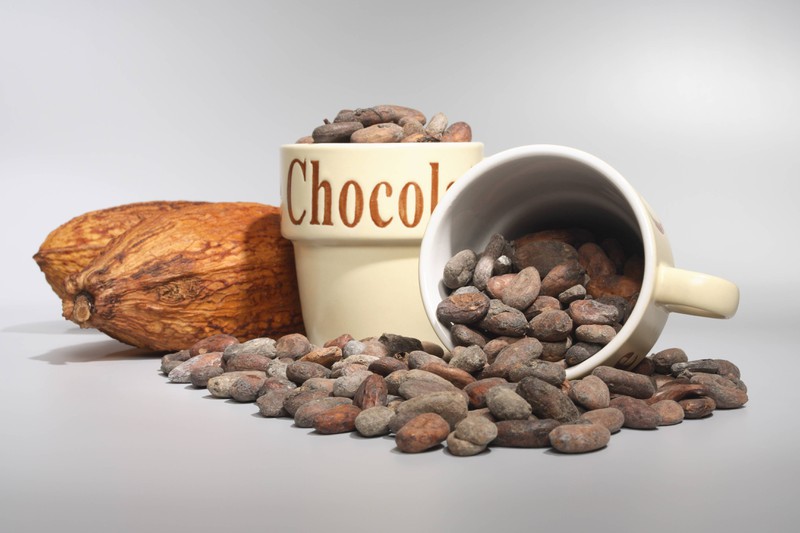 Roher Kakao ist eine tolle Alternative zu Schokolade!
