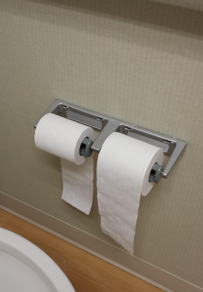 Die zwei Arten Typ Mensch machen sich auf der Toilette bemerkbar.