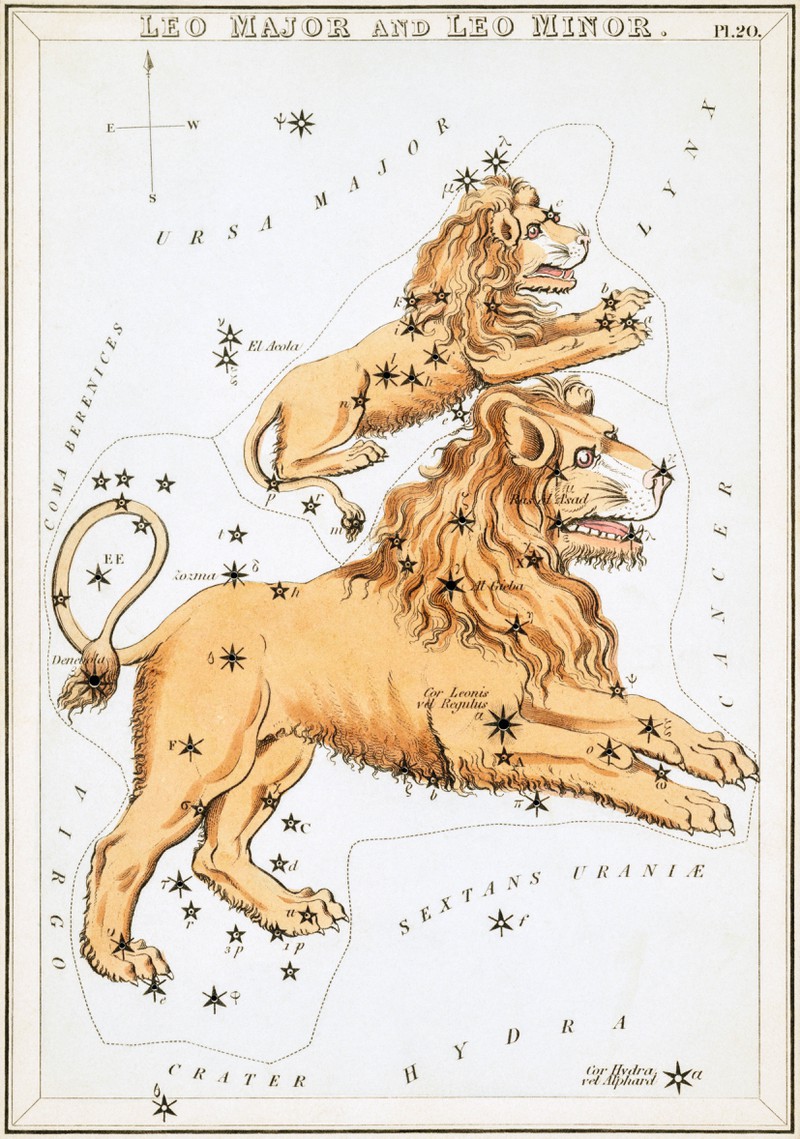 Das Löwe-Sternzeichen zeichnet sich charakterlich durch Großzügigkeit aus.