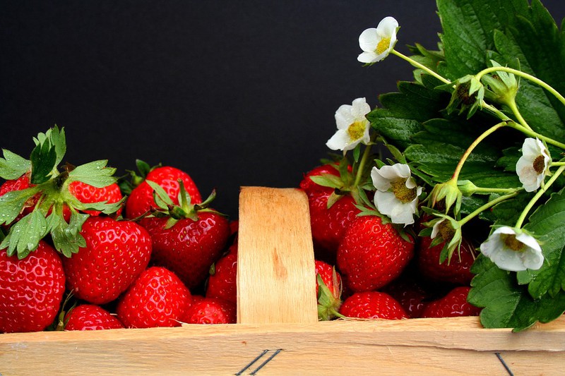 Erbeeren sind zu sehen und es geht um Aktivitäten im Sommer