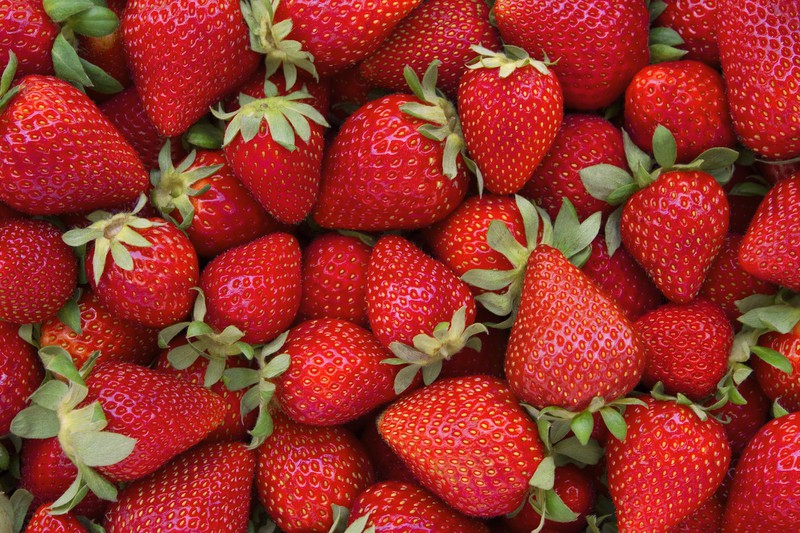 Erdbeeren