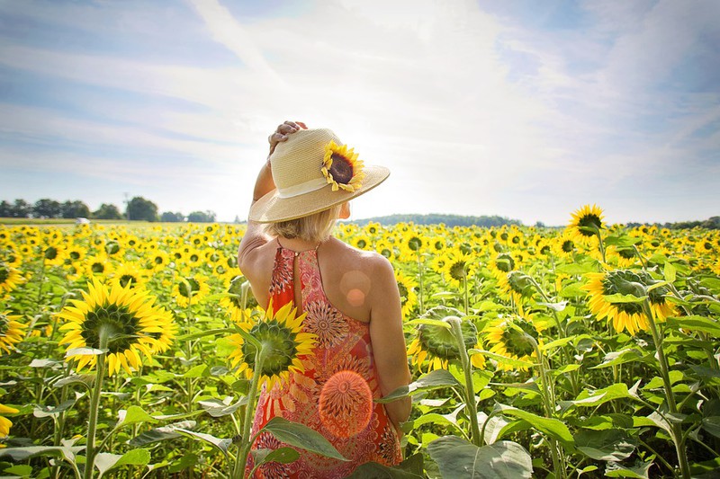Eine Frau steht im Sonnenblumenfeld und es geht um Tipps zur Hautpflege im Sommer