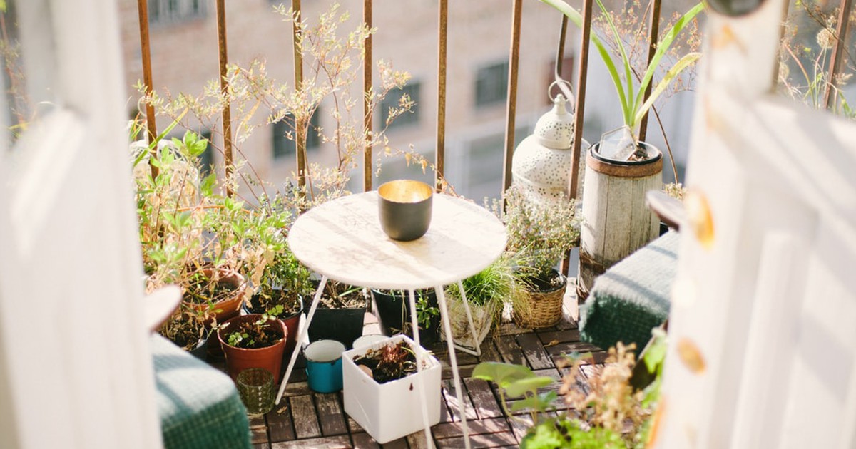 DIY-Hacks: Gemüsesorten, die du auf dem Balkon anpflanzen kannst