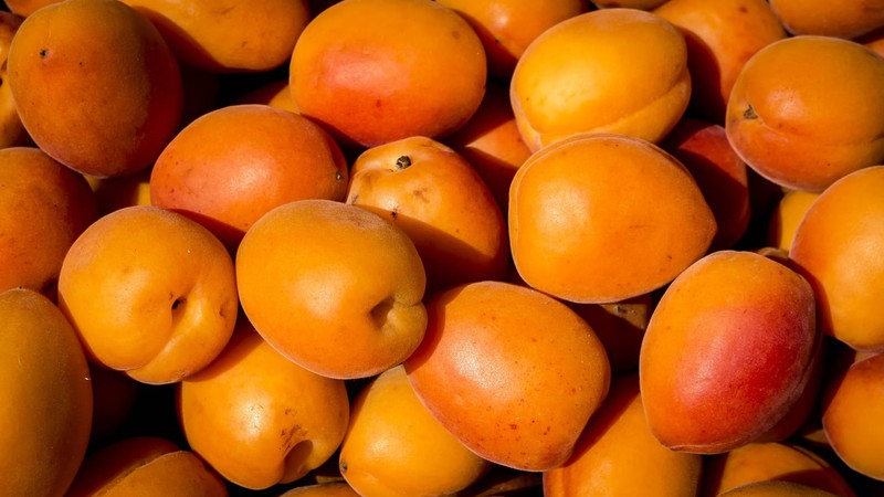 Aprikosen können dafür sorgen, dass die Haare weniger schnell nachfetten