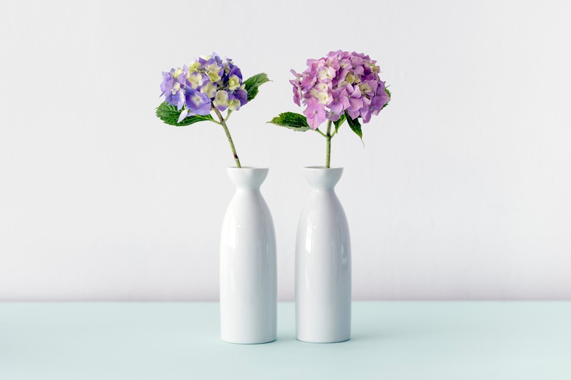 Man sieht eine Vase, die durch Eierschalen gereinigt werden kann