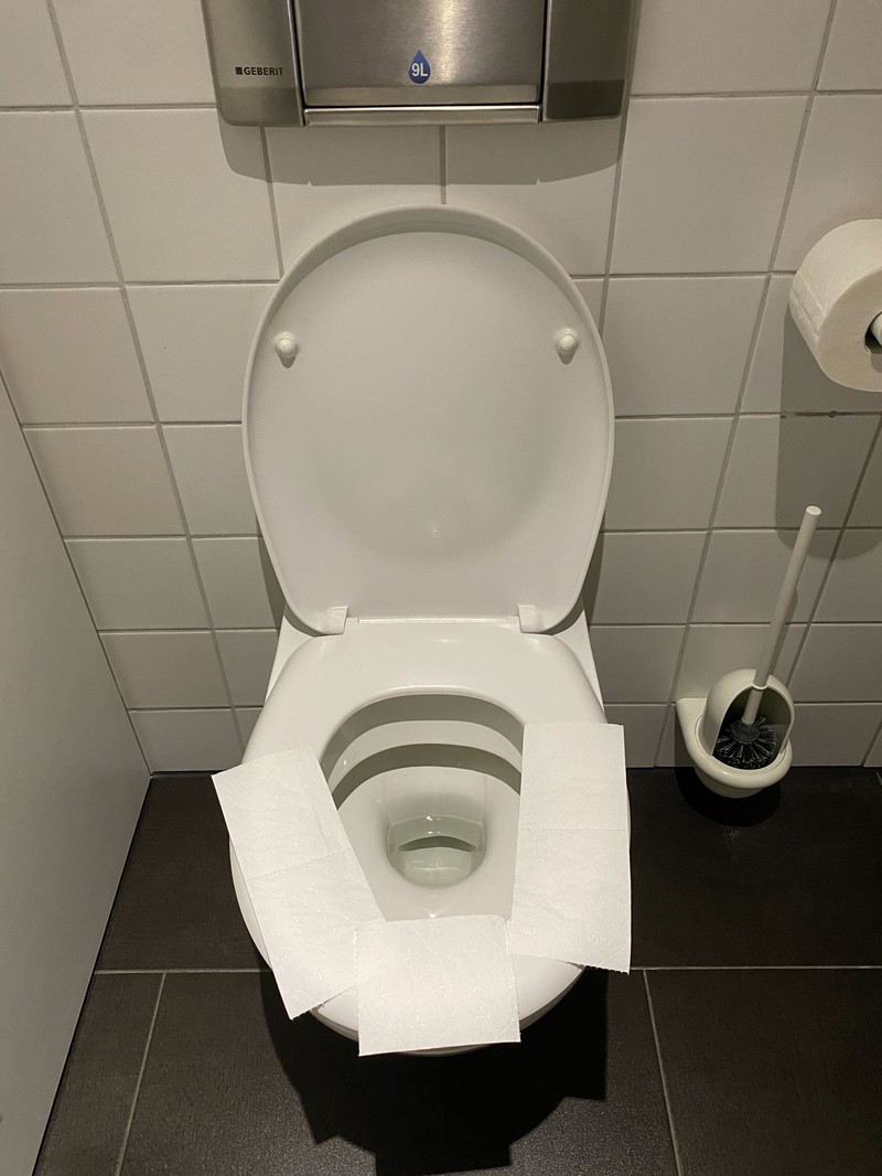Auf dem Toilettenpaier sammeln sich mehr Bakterien an als auf dem Toilettenrand.