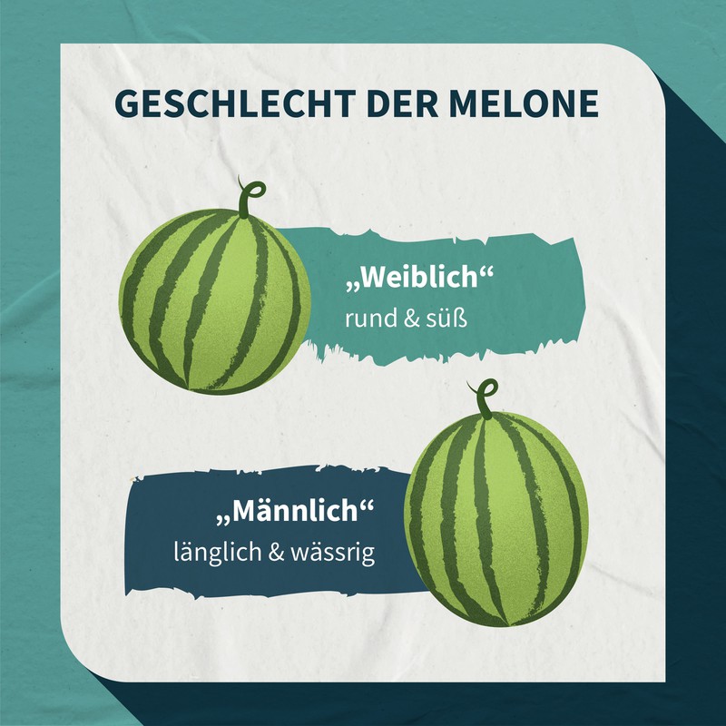 Auch beim Geschlecht von Wassermelonen sind sie geschmacklich sehr unterschiedlich.