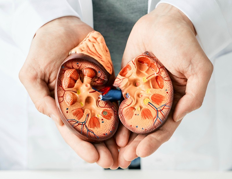 Organspende wird immer wichtiger und kriegt immer mehr Aufmerksamkeit. Das hat gute Gründe.