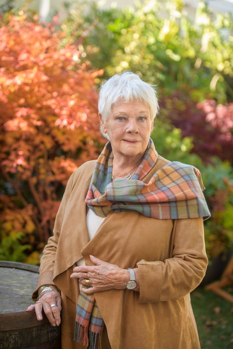 Judi Dench leidet seit Jahren an einer Augenkrankheit, die dazu führt, dass sie nichts mehr sehen kann.