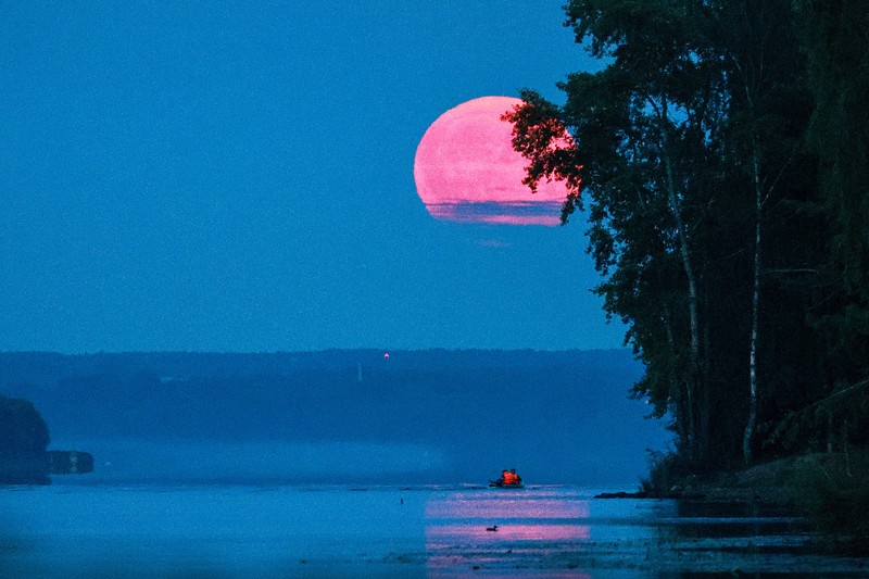 Der Vollmond im April ist ein spektakulärer Pink Moon.