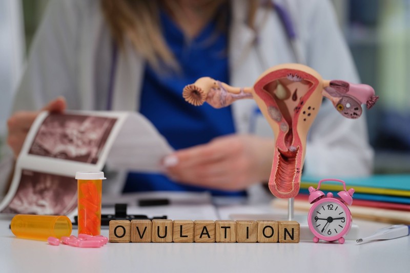 Die Feuchtigkeit hat auch viel mit dem Zyklus zu tun.