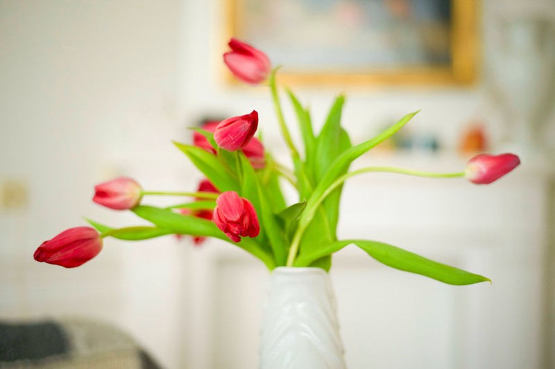 Mit ein paar einfachen Tricks kannst du Blumen länger haltbar machen.